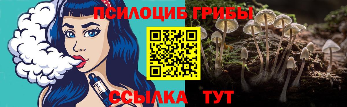 Галлюциногенные грибы Cubensis  Вход с VPN  Симферополь 